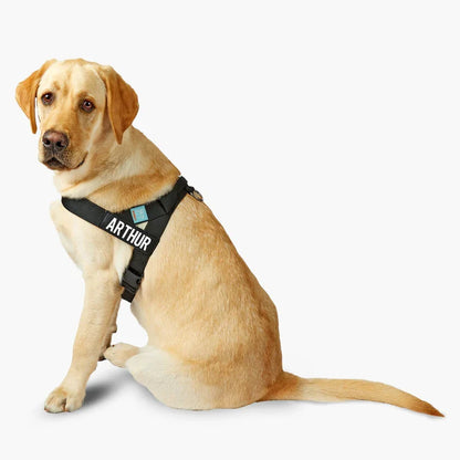 Dog Friendly Co.